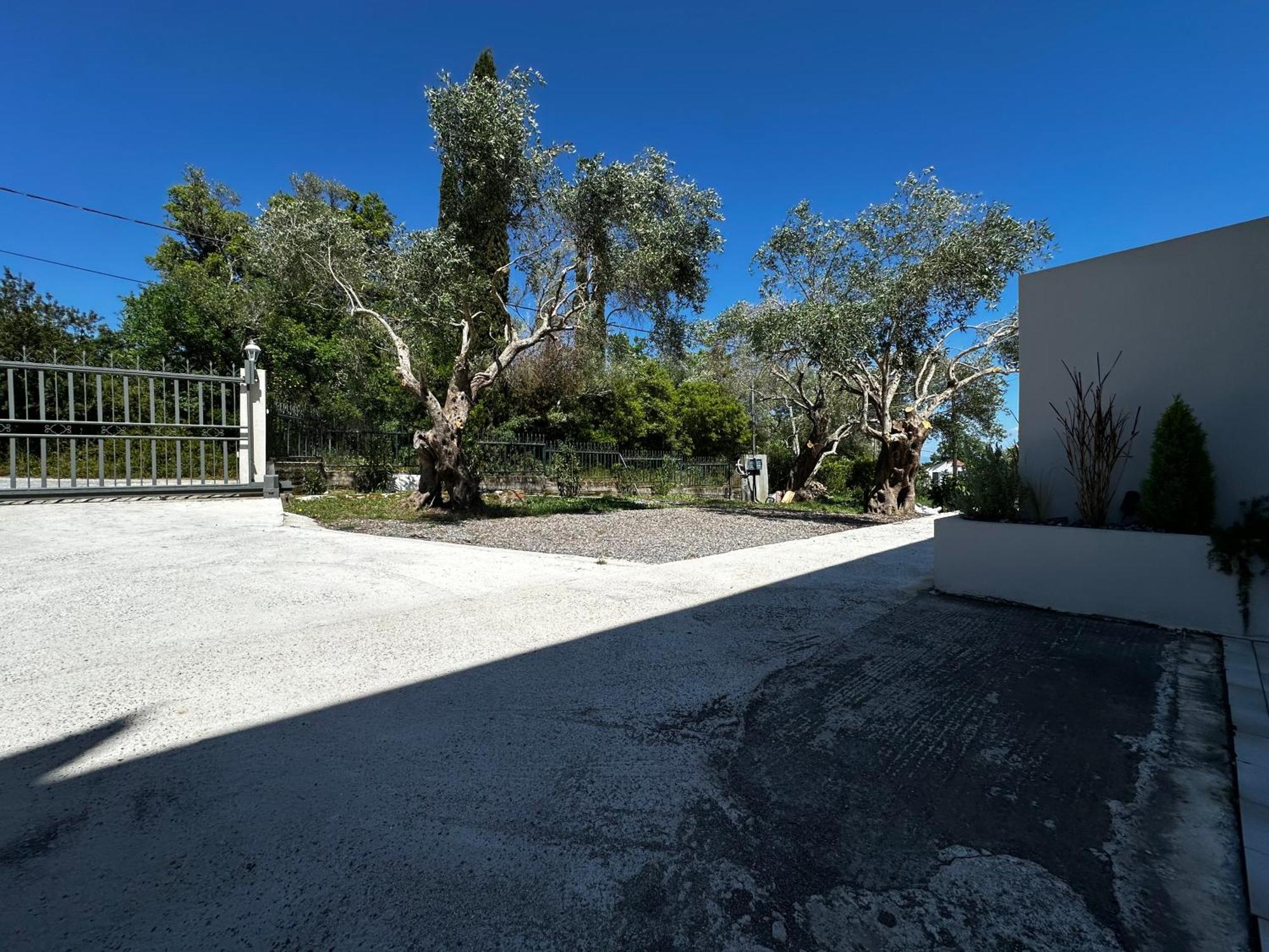 Gouvia Olive Tree House Villa